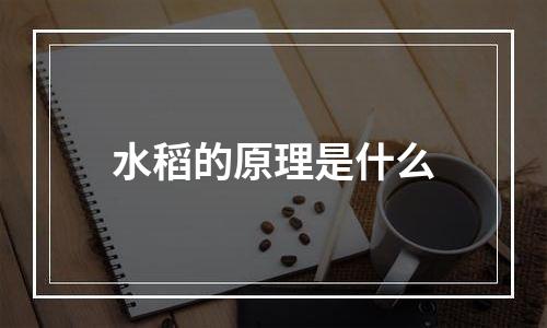 水稻的原理是什么