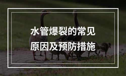 水管爆裂的常见原因及预防措施