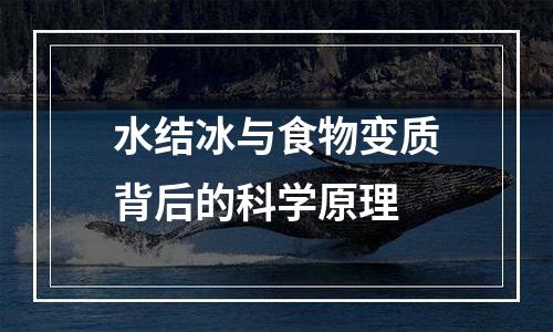 水结冰与食物变质背后的科学原理