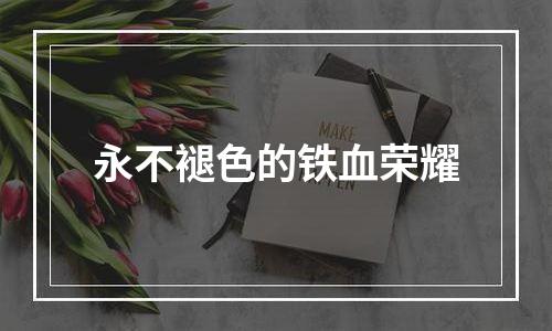 永不褪色的铁血荣耀