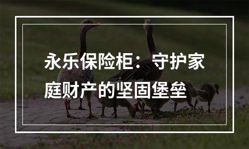永乐保险柜：守护家庭财产的坚固堡垒