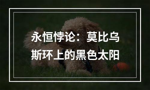 永恒悖论：莫比乌斯环上的黑色太阳