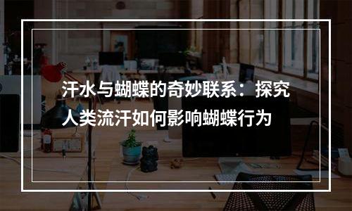 汗水与蝴蝶的奇妙联系：探究人类流汗如何影响蝴蝶行为