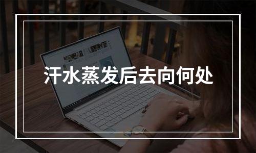 汗水蒸发后去向何处