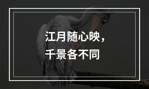 江月随心映，千景各不同