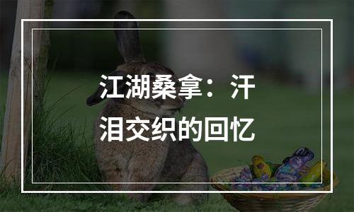 江湖桑拿：汗泪交织的回忆