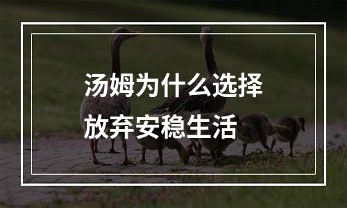 汤姆为什么选择放弃安稳生活