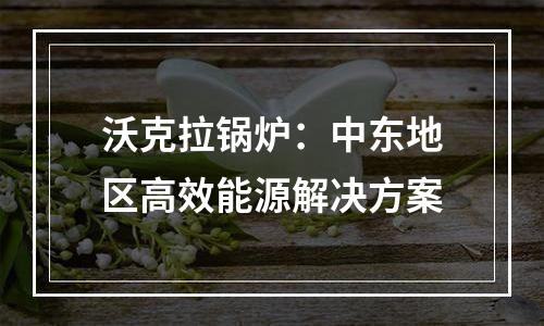 沃克拉锅炉：中东地区高效能源解决方案