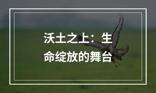 沃土之上：生命绽放的舞台