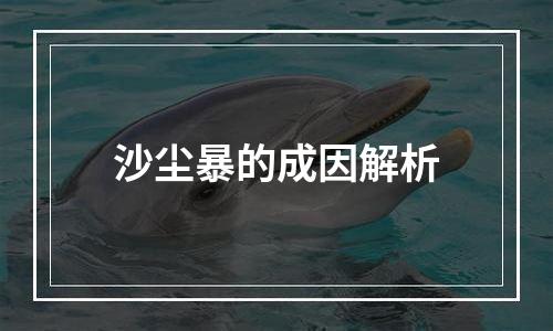 沙尘暴的成因解析