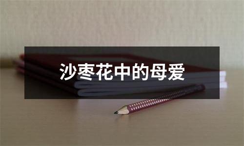 沙枣花中的母爱