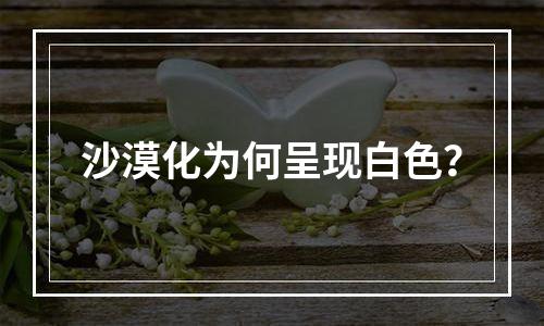 沙漠化为何呈现白色？