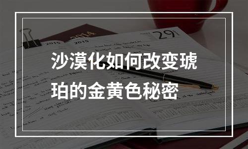 沙漠化如何改变琥珀的金黄色秘密