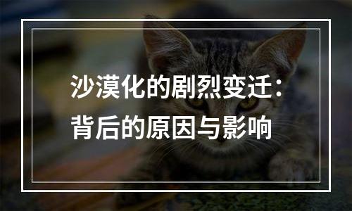 沙漠化的剧烈变迁：背后的原因与影响
