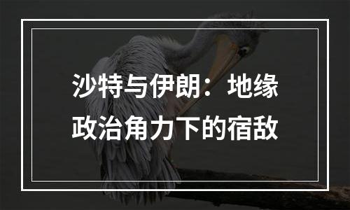 沙特与伊朗：地缘政治角力下的宿敌