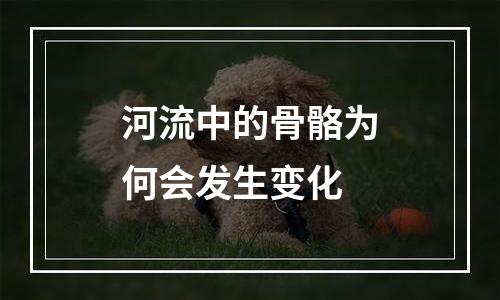 河流中的骨骼为何会发生变化