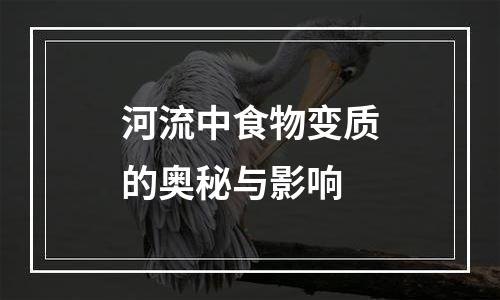 河流中食物变质的奥秘与影响