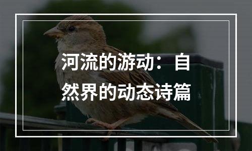 河流的游动：自然界的动态诗篇