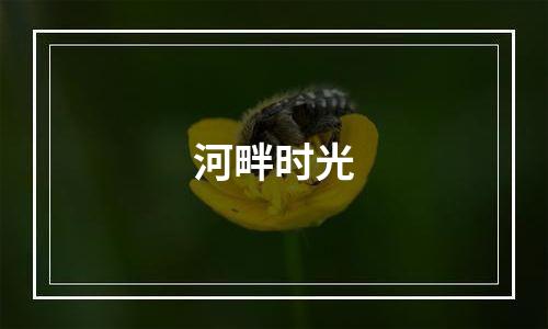 河畔时光