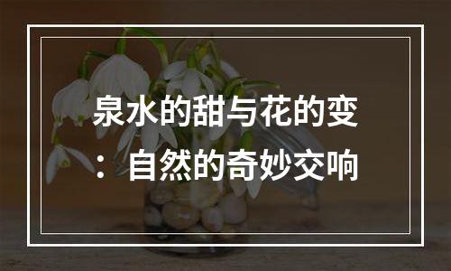 泉水的甜与花的变：自然的奇妙交响