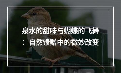 泉水的甜味与蝴蝶的飞舞：自然馈赠中的微妙改变