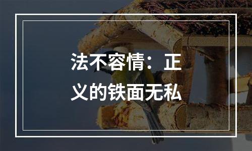 法不容情：正义的铁面无私