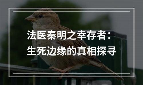 法医秦明之幸存者：生死边缘的真相探寻