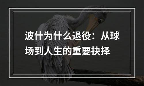 波什为什么退役：从球场到人生的重要抉择
