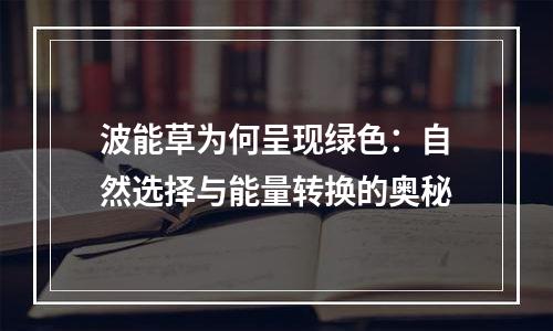 波能草为何呈现绿色：自然选择与能量转换的奥秘