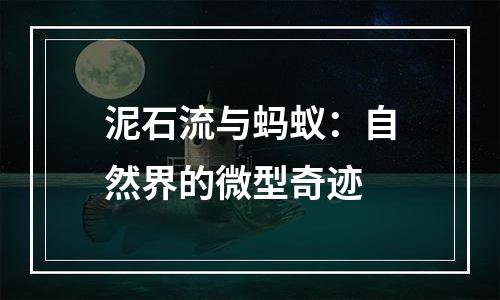 泥石流与蚂蚁：自然界的微型奇迹