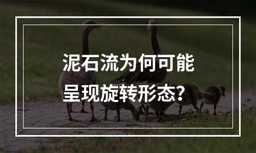 泥石流为何可能呈现旋转形态？