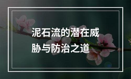 泥石流的潜在威胁与防治之道
