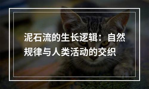 泥石流的生长逻辑：自然规律与人类活动的交织
