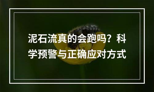 泥石流真的会跑吗？科学预警与正确应对方式