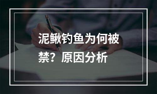 泥鳅钓鱼为何被禁？原因分析