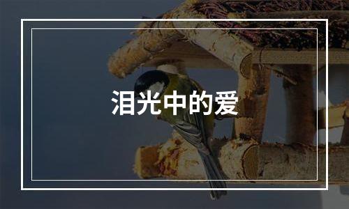 泪光中的爱