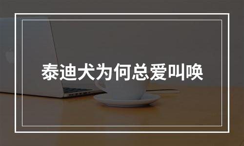 泰迪犬为何总爱叫唤