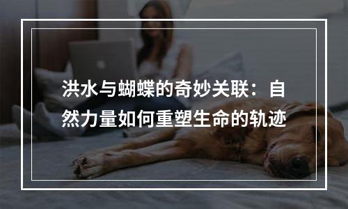 洪水与蝴蝶的奇妙关联：自然力量如何重塑生命的轨迹