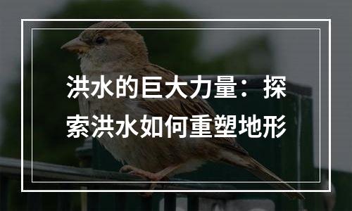 洪水的巨大力量：探索洪水如何重塑地形