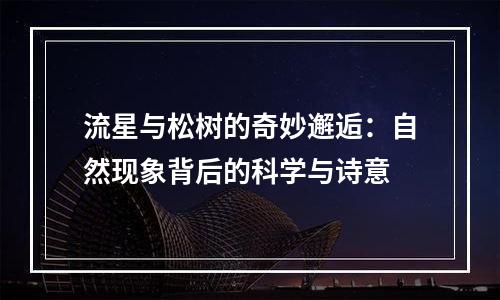 流星与松树的奇妙邂逅：自然现象背后的科学与诗意