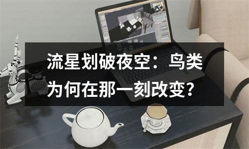 流星划破夜空：鸟类为何在那一刻改变？