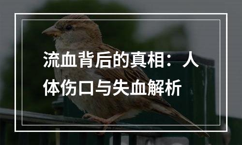 流血背后的真相：人体伤口与失血解析