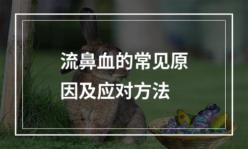 流鼻血的常见原因及应对方法