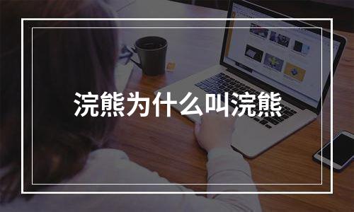 浣熊为什么叫浣熊