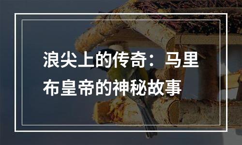 浪尖上的传奇：马里布皇帝的神秘故事