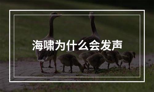 海啸为什么会发声