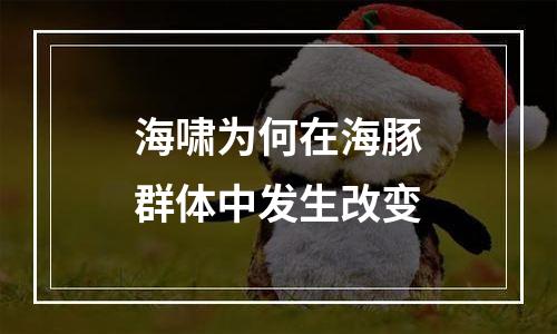 海啸为何在海豚群体中发生改变