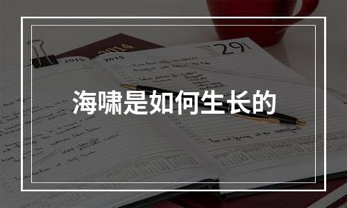 海啸是如何生长的