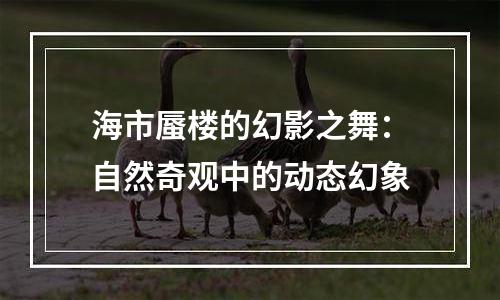 海市蜃楼的幻影之舞：自然奇观中的动态幻象