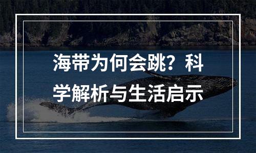 海带为何会跳？科学解析与生活启示